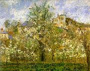 Camille Pissaro Kitchen Garden with Trees in Flower, Pontoise oil on canvas